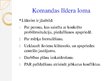 Presentations 'Komandas darbs', 14.