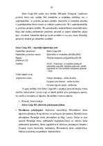 Term Papers 'Transporta - ekspedīcijas uzņēmuma darbības pilnveidošana', 32.