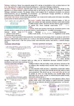 Summaries, Notes 'Kvantu fizikas teorijas konspekts', 2.