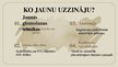 Presentations 'Leonardo da Vinči Džokonda', 8.