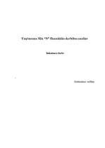 Research Papers 'Uzņēmuma SIA “N” finansiālās darbības analīze', 1.