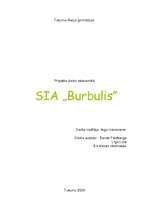 Business Plans 'SIA "Burbulis"', 1.