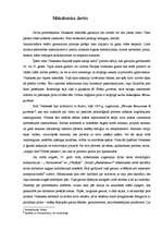 Research Papers 'Djego de Silva Velaskess', 3.