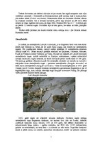 Research Papers 'Pleistocēna lielie zīdītāji', 5.
