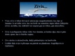 Presentations 'Zivis', 2.