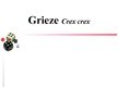 Presentations 'Grieze', 1.