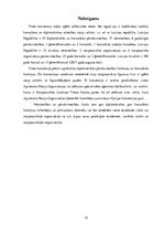 Research Papers 'Konsulāro un diplomātisko attiecību nodibināšana starp valstīm', 12.