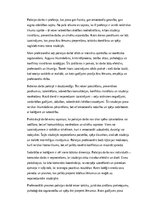 Essays 'Policijas darbs: izaicinājumi, pieredze un profesionālā atbildība', 1.