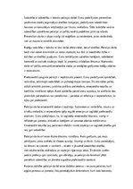 Essays 'Policijas darbs: izaicinājumi, pieredze un profesionālā atbildība', 3.