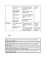 Practice Reports 'Pirmsskolas skolotāja pedagoģiskā prakse', 26.