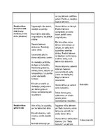 Practice Reports 'Pirmsskolas skolotāja pedagoģiskā prakse', 29.