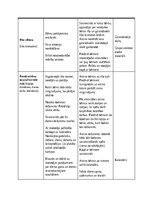 Practice Reports 'Pirmsskolas skolotāja pedagoģiskā prakse', 34.