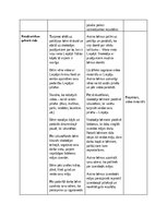 Practice Reports 'Pirmsskolas skolotāja pedagoģiskā prakse', 35.