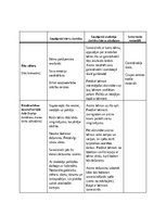 Practice Reports 'Pirmsskolas skolotāja pedagoģiskā prakse', 39.