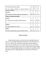 Practice Reports 'Pirmsskolas skolotāja pedagoģiskā prakse', 44.