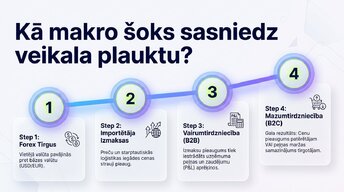 Presentations 'Valūtas kursu svārstības un importēto preču cenas', 5.