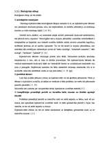Term Papers 'Hiperaktivitātes korekcijas iespējas pirmsskolas izglītības iestādē', 13.