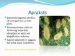 Presentations 'Laputis (Aphididae)', 12.