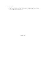 Research Papers 'Pneimogrāfija un spirometrija', 4.