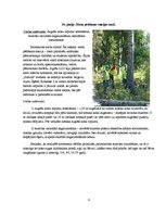Practice Reports 'Koksnes mācība un meža prečzinība', 11.
