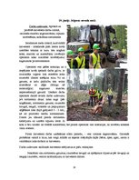 Practice Reports 'Koksnes mācība un meža prečzinība', 12.