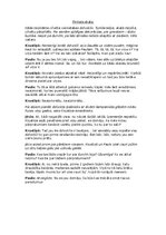 Essays 'Lugas scenārijs "Pārpratumu pilna pasaule"', 2.