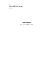 Research Papers 'Igaunijas grautiņi 2007.gadā', 1.
