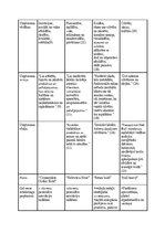 Research Papers 'Skolēnu Mācību uzņēmuma “Infinity planner” mārketinga materiālu izstrāde', 21.