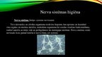 Presentations 'Ādas higiēna. Nervu sistēmas un maņu orgānu higiēna', 9.
