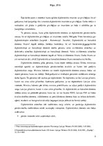 Essays 'Diplomātiskā imunitāte un privilēģijas', 2.