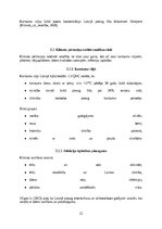 Research Papers 'Klimata pārmaiņu un vides piesārņojuma ietekme uz Latvijas iedzīvotājiem', 23.