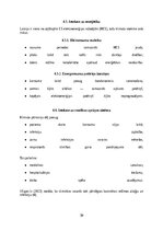 Research Papers 'Klimata pārmaiņu un vides piesārņojuma ietekme uz Latvijas iedzīvotājiem', 31.