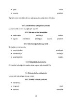 Research Papers 'Klimata pārmaiņu un vides piesārņojuma ietekme uz Latvijas iedzīvotājiem', 43.