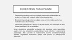 Presentations 'Baltijas jūras piesārņotība un tās problēmas', 7.