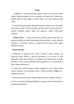 Practice Reports 'Prakses atskaite - audiēšana un rakstiskā tulkošana', 4.