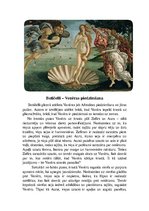 Essays 'Botičelli glezna "Venēras piedzimšana"', 1.