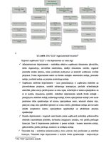 Term Papers 'Cilvēkresursu atlases un izvēles procedūru analīze uzņēmumā "Izzi"', 29.