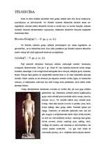 Research Papers 'Grieķu māksla un tās īpatnības', 2.