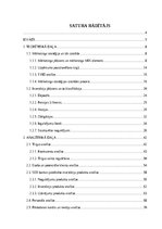 Term Papers 'Mārketinga stratēģijas pilnveide investīciju produktiem SEB bankā Latvijā', 3.