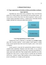 Term Papers 'Mārketinga stratēģijas pilnveide investīciju produktiem SEB bankā Latvijā', 76.