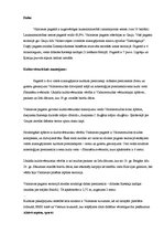 Essays 'Valmieras pagasts', 2.