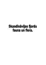 Research Papers 'Skandināvijas fjordu fauna un flora', 1.