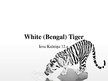 Presentations 'White Bengal Tiger', 1.