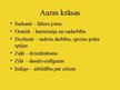 Presentations 'Aura un čakras', 7.