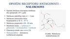 Presentations 'Opioīdu receptori', 13.