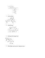 Summaries, Notes 'Inovācija ķīmijā - antibiotikas', 6.