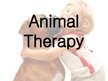 Presentations 'Animal Therapy', 1.