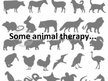 Presentations 'Animal Therapy', 5.
