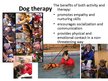Presentations 'Animal Therapy', 8.