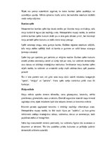 Summaries, Notes 'Maiju civilizācija: vēsture, kultūra, mitoloģija, sabiedrība un kultūras mantoju', 15.